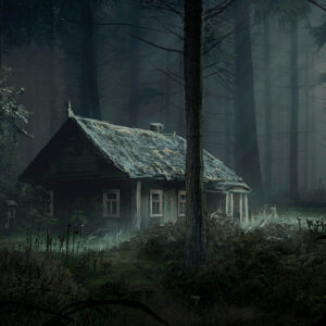 cabin in the virtual woods writing horror comedy